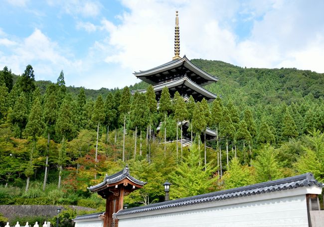 越前大仏清大寺の五重塔