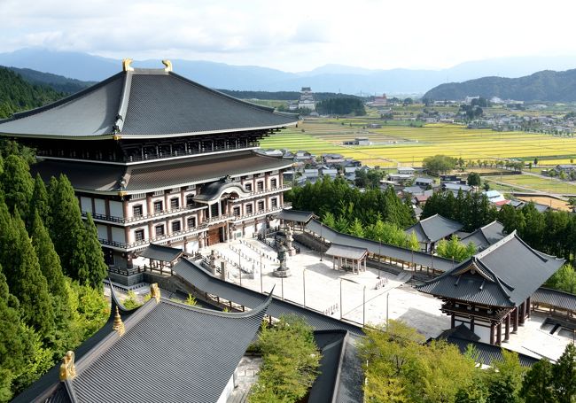 五重塔から大仏殿