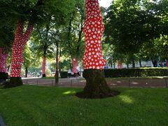 エスプラナーディ公園を抜けてマーケット広場へと向かいます。
木の幹に草間彌生のデザイン!?と思うドット柄のデコレーションがしてありました。マリメッコも同じようなデザインがあるのでフィンランドではこの系統のデザインが人気なのだろうと思っていましたが、帰国後に調べてみると本当に草間彌生のデザインだったようです笑