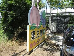 桃狩りに行った農園は、毎年行ってる果王園という所。