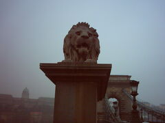 　ブダペスト地区で最初にドナウ川に架けられたくさり橋。この橋を渡って王宮へ行きます。

　橋の両端でライオンがお出迎えです。夜になるとライトアップされますが、朝は普通の橋。しかも落書きがいっぱいだし。世界遺産に落書きしちゃいかんだろう…
