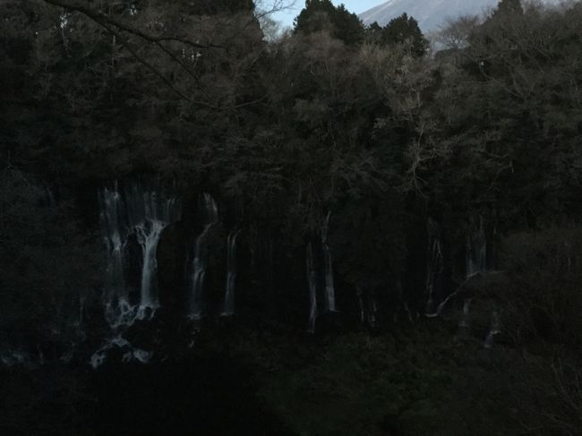 暗くてよく見えないですね。<br />ちょっと遅すぎた