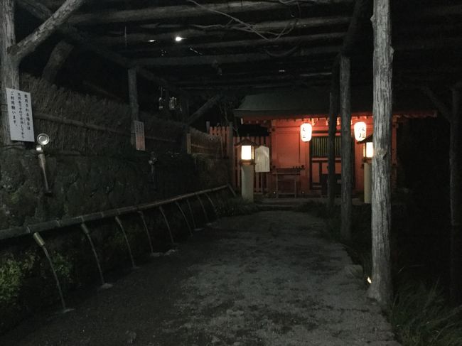 帰りにまた、浅間大社に寄ってみました。