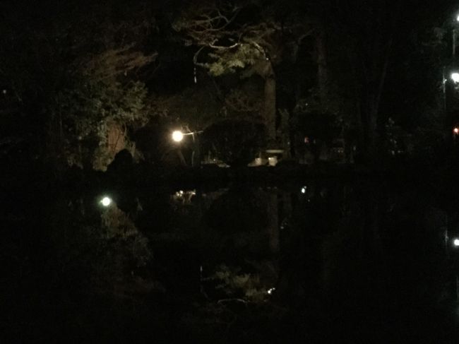 逆さに映ってます。<br />反射して綺麗。<br />写真上手に撮れるといいのですが…。