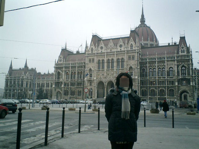 　国会議事堂の全景。<br /><br />　国会議事堂の前にはちっちゃな記念碑があり、ハンガリーの国旗が立てられています。1956年ハンガリー動乱の記念碑です。死者数千人を出したとも言われるハンガリー動乱。献花や地面に埋まった記念碑を思い深げに眺める人が絶えません。<br /><br />