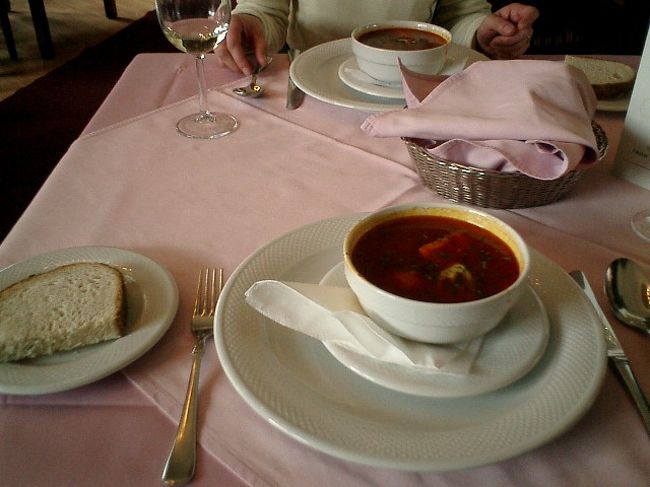 　いい時間になったので、お昼ご飯を食べることにしました。<br /><br />　国立博物館の傍にあるムゼウムというレストランです。客層もビジネスマンや老紳士みたいな人が多い上品なお店です。<br />　無愛想な店員が多いといわれている（らしい）ハンガリーのレストランですが、ここは味もサービスも一級品。 でも店の広さに対して客席が多いので、なんとなく狭苦しい感じがします。<br /><br />　注文したのはグヤーシュ・フォアグラのソテーみたいなの・豚のフリカッセです。<br /><br />　グヤーシュはハンガリーの名産パプリカが効いたスープ。昨日のお昼のレストランとは違って量が多いぞ。パンもついてるし。