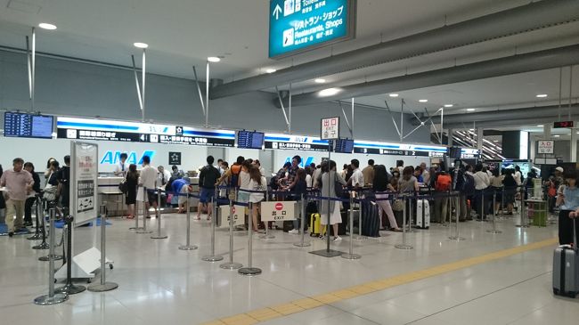 ANA国内線カウンターはめちゃくちゃ混んでます。<br /><br />私はスキップサービスを利用していますが、<br />ちゃんとした搭乗券が欲しいので、<br />自動チェックイン機で必ず搭乗券を発行します。