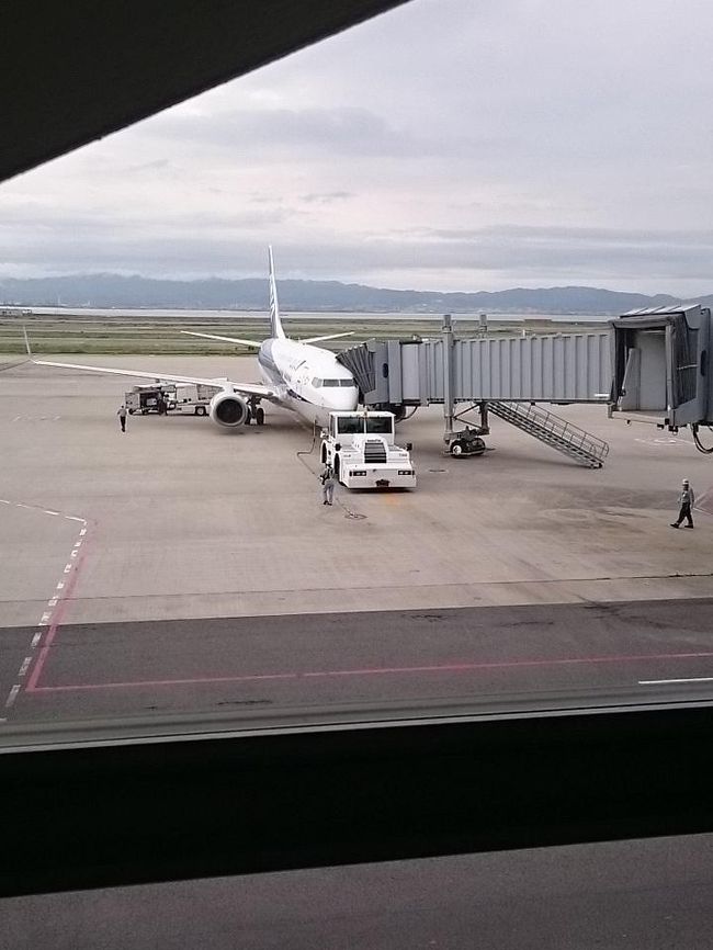 さあ、搭乗しましょう！<br /><br />このときはとても不安でした。<br />なにせ、自分からよろしくお願いします。なんて言えないと思っていましたので。。。<br /><br />NH1731　関空ー那覇　8:00⇒10:00<br /><br />