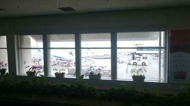 那覇空港はお手の物です(笑)<br /><br />搭乗券もらってすぐに保安検査場へ。