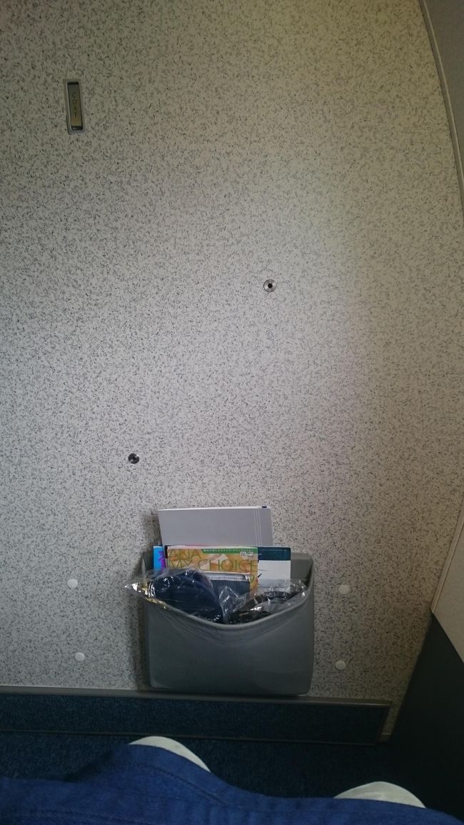 1Kのバルクヘッド席になります。<br /><br />搭乗時に、あっ、どうも〜という感じで入っていきました(笑)<br /><br />そうすると、CAさんも同じような感じで対応していただきました。<br /><br /><br /><br />案外、触れないようにしてもらえるんですね〜