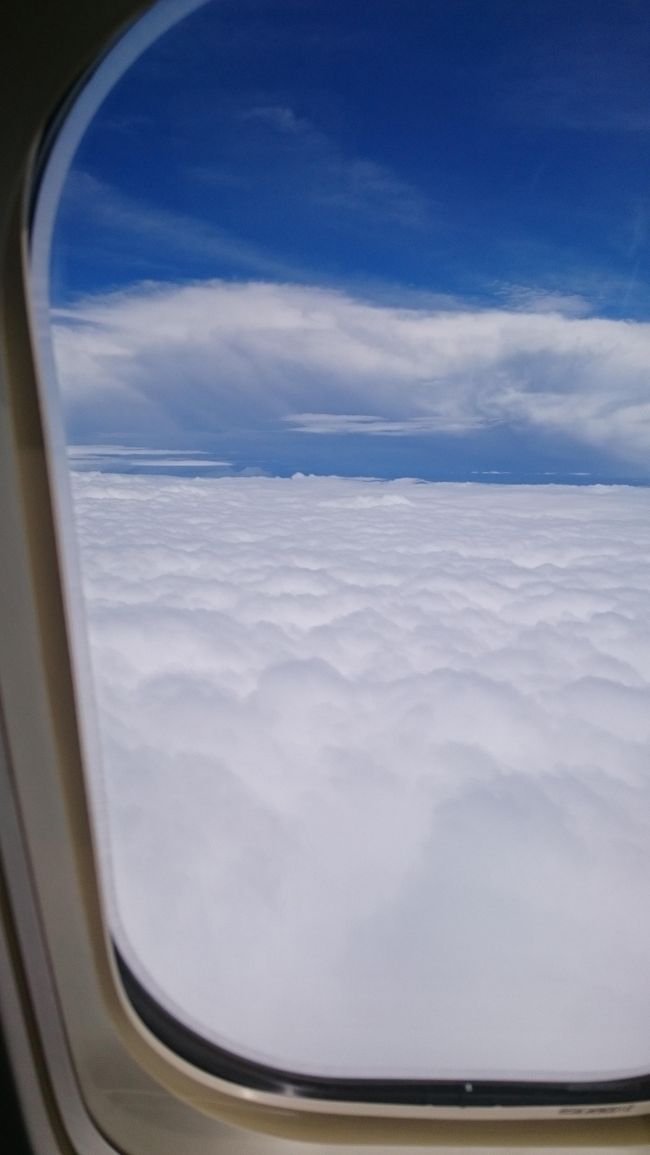 沖縄は雨が降っていましたが、<br />お空の上は青と白のコントラストが最高です！