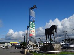 道央自動車道を使って苫小牧東から日高自動車道に入り日高門別で降ります

出発して２時間ほどで
道の駅サラブレッド新冠に到着