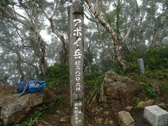 アポイ岳は８１０ｍと低標高ながら、たくさんの高山植物の姿が見られる
花の山です
山頂はダケカンバなどの樹木に覆われていて展望は良くありません

休憩や写真を撮りながら2時間半かかりましたが良い山です
頂上でゆっくり休憩すると体が冷えるのですぐに下山

また春にでも登ってみたいです