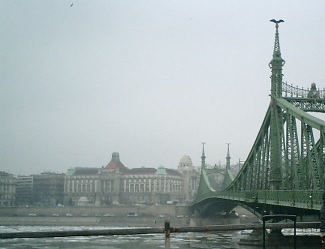 　中央市場を出て行ったのは、ゲッレールトの丘の麓にある自由橋です。一昨日行ったくさり橋よりも南側に位置します。今日も冷えているため、ドナウ川には氷が流れています。あぁ寒い。<br /><br />　橋の向こう側に見えているのは、ゲッレールト温泉。宿泊客以外も利用することができる立派な外観の温泉です。ハンガリーは温泉大国。首都ブダペストや近郊の町にも温泉が沢山あるそうです。<br /><br />　橋の手前には経済大学があります。この経済大学も立派な建物でまるで観光施設のよう。ヨーロッパでは古い建物やお城などを大学としてよく活用しているようです。<br />　古い建物を長く大事に使う姿勢には、見習うべき点が沢山あるように思います。