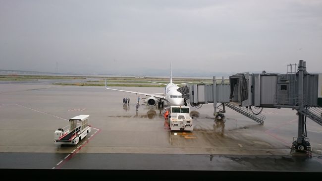 NH1737　関空ー沖縄　16:10⇒18:10<br /><br />いざ、搭乗です。