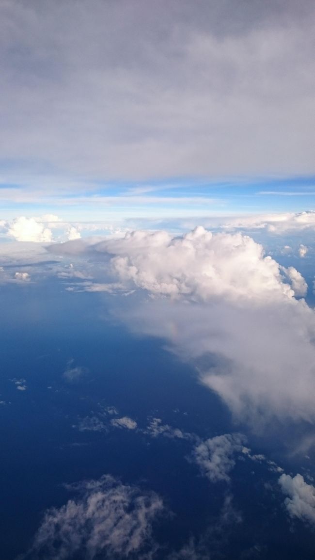 トイレに行くついでに<br />CAさんにお話ししました。<br /><br />が、<br /><br /><br />逆にCAさんからお話しされました(^^;<br /><br />「お仕事ですか？関空の最終便でお帰りになられますよね？」と(笑)<br /><br />もうそう言われたら、正直に話すことになりますよね<br />「いえ(笑)この飛行機で帰ります」<br /><br /><br />そうすると<br /><br /><br />「マイル貯められているんですね！」と<br /><br />よーくお分かりのようで(笑)<br /><br /><br /><br />「この区間そういう方々で人気の便なんですよ！」と<br /><br />修行者へのフォローとでもいいましょうか。<br />恥ずかしい思いというよりもスッキリした気持ちが大きかったですね。<br /><br />