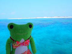 けろ子の後ろに見えている白いビーチは６月に上陸したナガンヌ島です。
この日も晴れていたから海がとっても綺麗でした。
（防水カメラは忘れたのに一眼は持ってた）