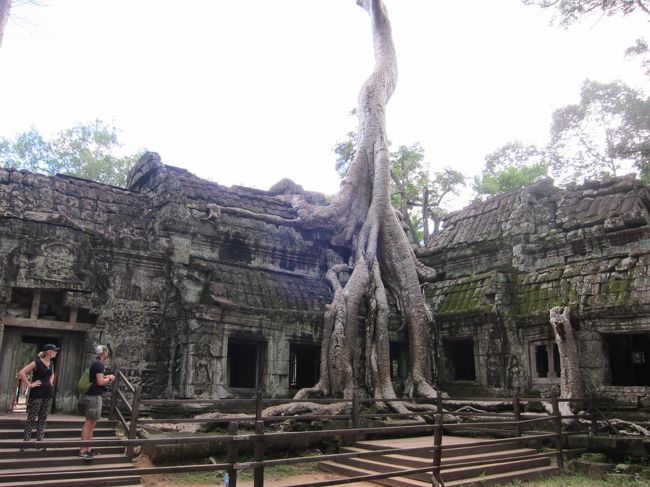 ララクロフトが出てきそう