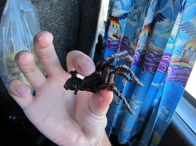 タランチュラは高級品<br />１つ８００リエル