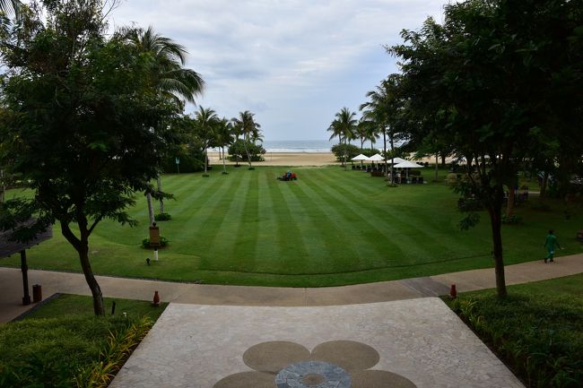 ゴルフのグリーンのような場所です