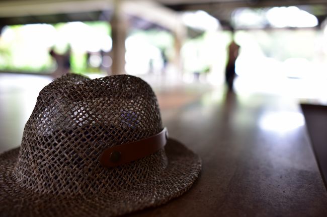 折りたたみ可能な麦わら帽子<br />麦わら帽子役に立ちました<br />暑い日は日よけになるし<br />普通の帽子より穴が大きいので風も通るし<br />南国にぴったりです