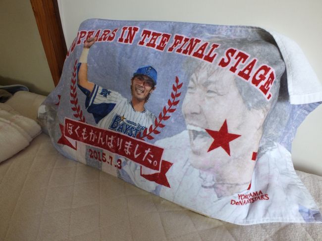 少し疲れたので、読書したり昼寝したりで過ごします。