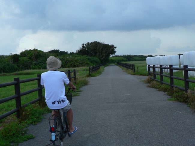 ぐだぐだしてたら夕方になってしまったので、少し出かけます。<br />が、雲行きがあやしいです。