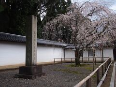 醍醐の花見で有名な醍醐寺に来ました。醍醐寺駅から徒歩です。醍醐寺行きのバスも出ていましたがかなり混雑していたので歩いた方が速いかもしれません。