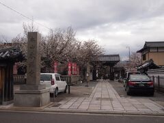 腹ごしらえをして、本満寺です。

◆https://kanko.city.kyoto.lg.jp/detail.php?InforKindCode=1&ManageCode=1000419

それほど大きなお寺ではありませんが、大きな枝垂桜が見どころ。
