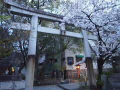 最後に…お花見というより縁切り・縁結びとして有名な安井金比羅宮に来ました。桜ももちろん綺麗でした。