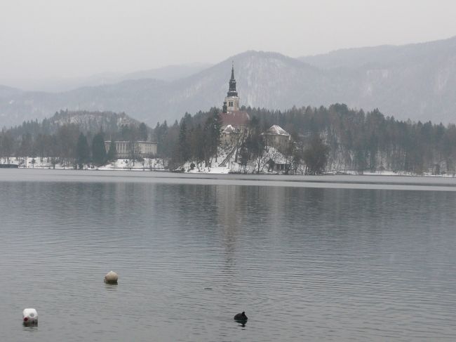 ボートで行けるらしいのですが、まったくそんな気になれず、、