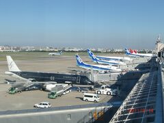 福岡空港の国内線ターミナルに停まっている飛行機群。