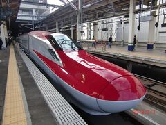 写真で見たことはありますが、実物を見るのはもちろん初めてです。