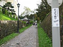 雨が上がった夕方から山手を散歩。チャチャ登りをずいずい登っていきます。