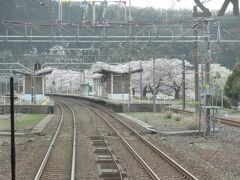 能生駅。ちょうど桜が満開。