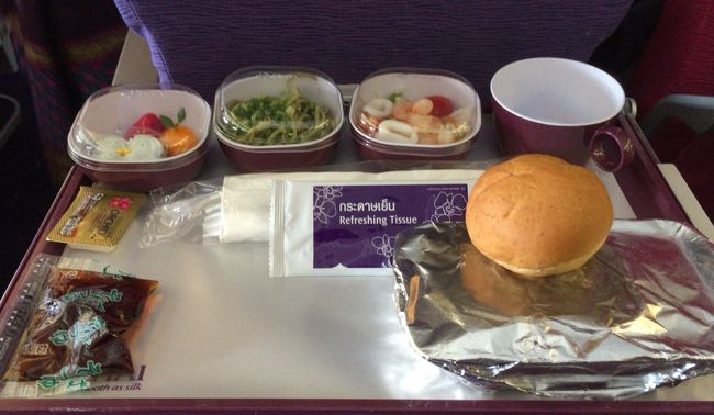 機内食・・・<br />なんか少なくないか？<br />容器が無いだけかな？<br /><br />今回の帰りは何か違和感を覚えるフライトでした。<br />うーん、別段不満も無かったのですが、関空便の方がサービスはエエ様に思えます。<br /><br />さて、次はタイ周辺含めて旅行プランを練ってみます。<br />最後までお付き合い頂き有難うございました。