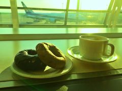長い間待っていた隠岐地方への旅が実現したのは2016年の9月、学校の夏休みも終わり、海水浴客もひと段落したであろう頃。
羽田空港から朝イチの飛行機で米子へと向かう。

カードラウンジで、飛行機を眺めながらの朝食タイム。
あたたかいベーグルと珈琲、そして目の前には朝の柔らかいお日様の光に包まれた飛行機。
一人旅ならではの優雅な朝時間。

いつもはワイルドな旅の始まりが多いけれど、たまにはこんな旅も悪くはないよね♪
