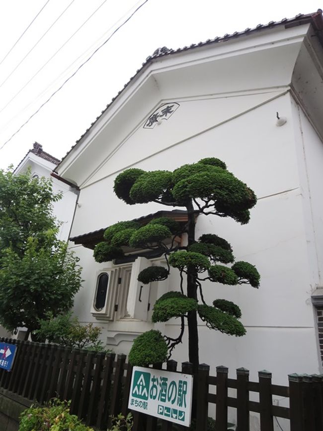 続いて酒蔵見学に行きました。<br />私は蔵大好き。ダンナは酒大好き。