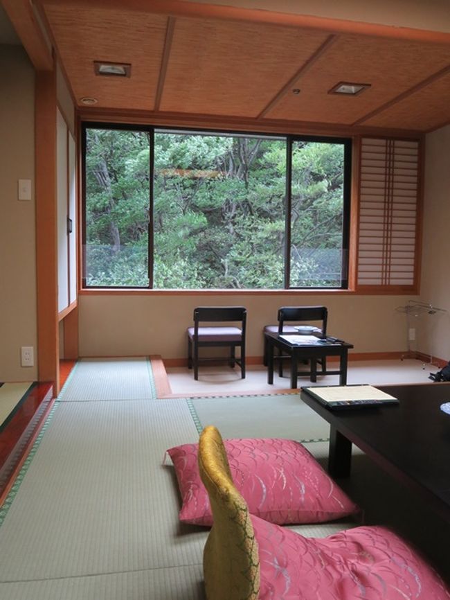 外観は古めかしい感じだけど、中はきれいに改装されていて、部屋の窓からは山の緑がきれいに見えます。