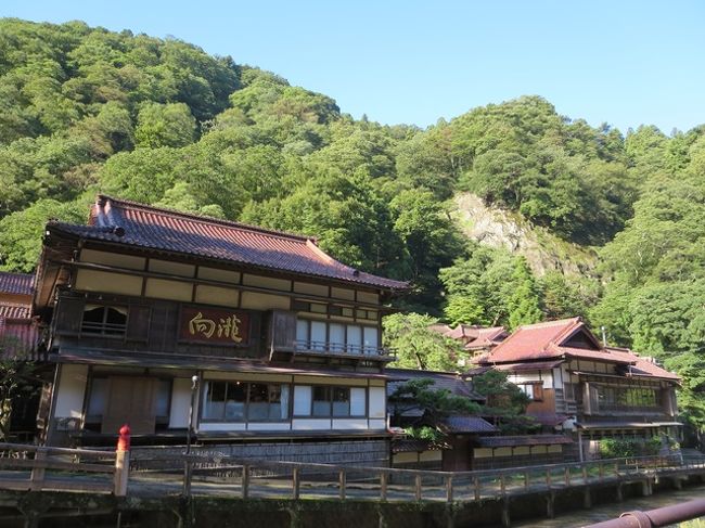 写真では伝わらないけど、すごい存在感。めちゃくちゃカッコイイ。