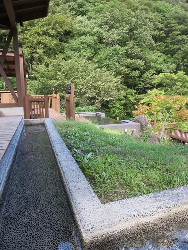 もりもり食べてから、もうちょっと温泉を楽しむ。<br />足湯につかりました。