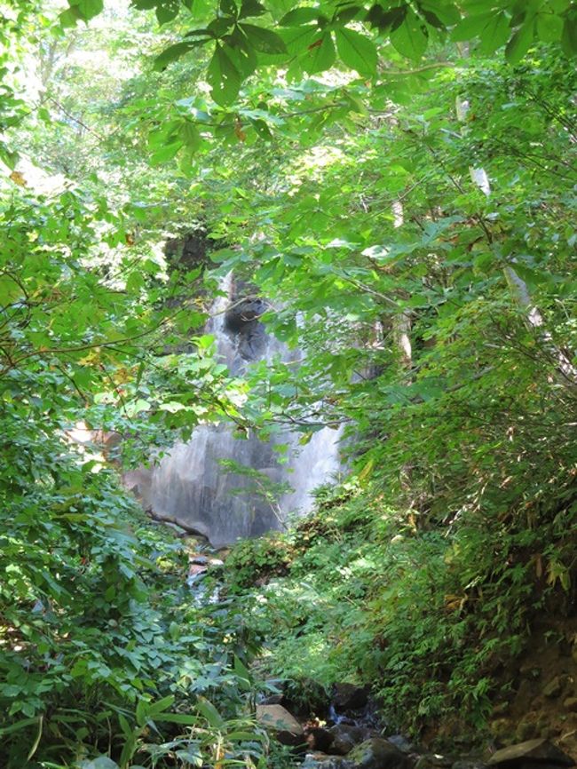 これは「幻の滝」。<br />最近まで近づく道も無く、ほとんど知られていなかったのだとか。<br />駐車場から5分ほど歩くと行けるというので、不機嫌極まりない大チビを無理矢理連れて行ったのだけど、木に隠れててほとんど見えなかった…。<br />ガイドブックの写真と全然違うぞ。<br />やっぱり幻やんけ。