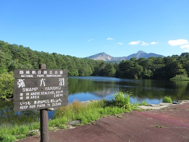 お風呂の後は庭で寛がせてもらいました。<br /><br />