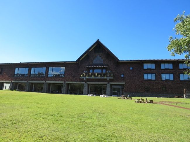 チビ達芝生を走り回って大はしゃぎ。