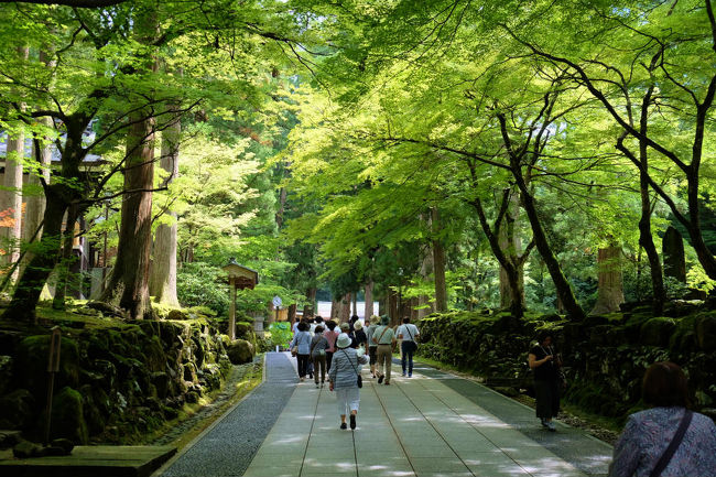 緑に包まれて。。