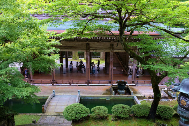 　　山門を見下ろす