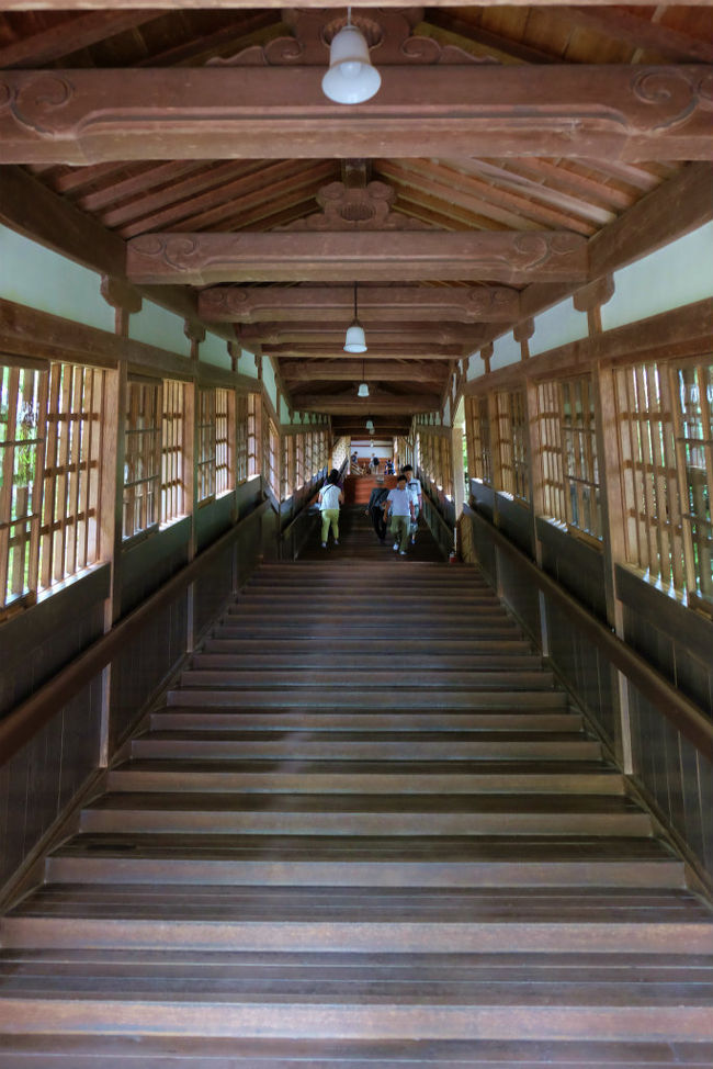 階段を幾つも上がり　最後の　法堂へ<br /><br />　夫婦二人、、やめよう、、まだまだ　回る所がある　無理はすまい。<br /><br />　　道元禅師さん　お許しを、