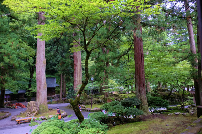 境内を眺めながら。。