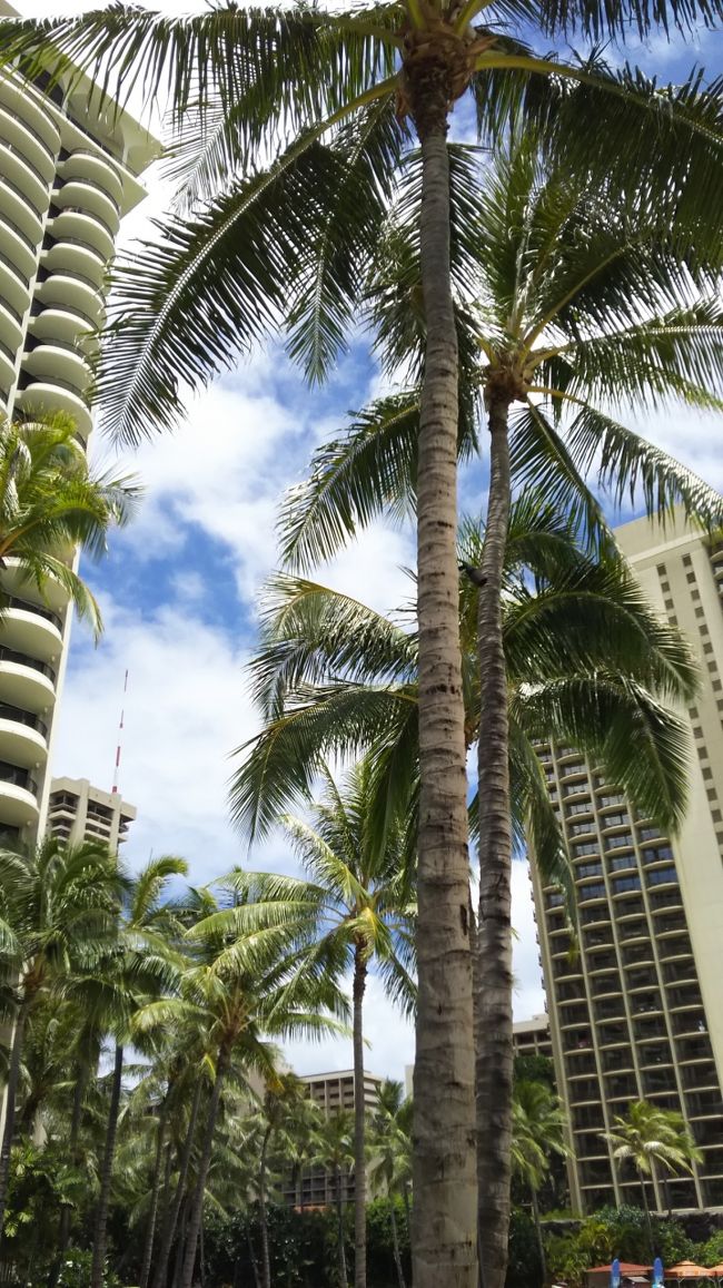 パラダイス・プールが混雑してて全然なので、タパ・プールまで移動しました。<br /><br />ラグーンは冷たいし、海よりプールの方がいいんだって。