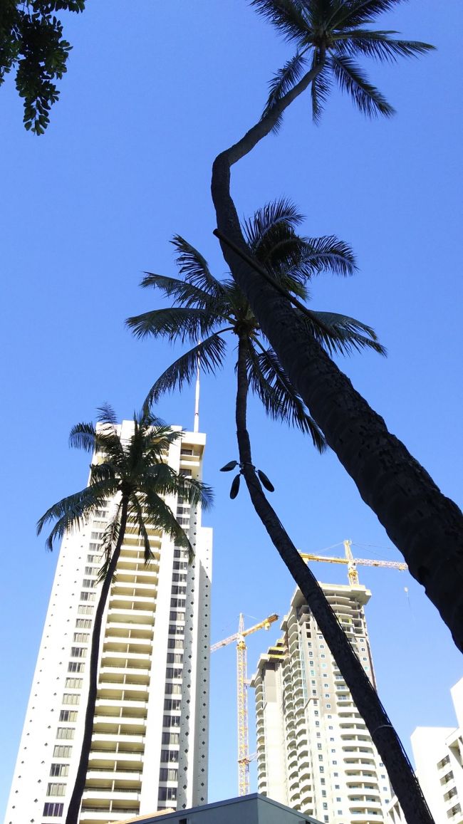 HGVC アイランダー 建設中<br /><br />すっごい 気になる。泊まってみた〜い。<br />